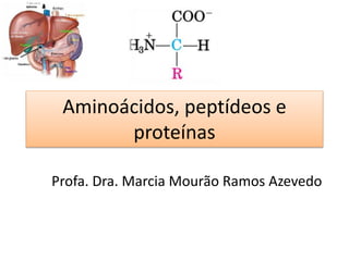 Aminoácidos, peptídeos e
proteínas
Profa. Dra. Marcia Mourão Ramos Azevedo
 