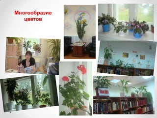 Многообразие
цветов
 