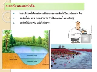 ระบบนิเวศแหล่งน้าจืด
 ระบบนิเวศน้าจืดแบ่งตามลักษณะของแหล่งน้าเป็น 2 ประเภท คือ
1. แหล่งน้านิ่ง เช่น ทะเลสาบ บึง ถ้าเป็นแหล่งน้าขนาดใหญ่
2. แหล่งน้าไหล เช่น แม่น้า ลาธาร
 