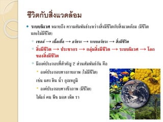 ชีวิตกับสิ่งแวดล้อม
 ระบบนิเวศ หมายถึง ความสัมพันธ์ระหว่างสิ่งมีชีวิตกับสิ่งแวดล้อม (มีชีวิต
และไม่มีชีวิต)
◦ เซลล์ → เนื้อเยื่อ → อวัยวะ → ระบบอวัยวะ → สิ่งมีชีวิต
◦ สิ่งมีชีวิต → ประชากร → กลุ่มสิ่งมีชีวิต → ระบบนิเวศ → โลก
ของสิ่งมีชีวิต
◦ มีองค์ประกอบที่สาคัญ 2 ส่วนสัมพันธ์กัน คือ
 องค์ประกอบทางกายภาพ (ไม่มีชีวิต)
เช่น แสง ดิน น้า อุณหภูมิ
 องค์ประกอบทางชีวภาพ (มีชีวิต)
ได้แก่ คน พืช มอส เห็ด รา
 