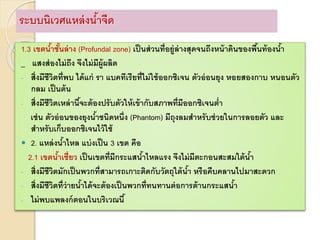 1.3 เขตน้าชั้นล่าง (Profundal zone) เป็นส่วนที่อยู่ล่างสุดจนถึงหน้าดินของพื้นท้องน้า
_ แสงส่องไม่ถึง จึงไม่มีผู้ผลิต
- สิ่งมีชีวิตที่พบ ได้แก่ รา แบคทีเรียที่ไม่ใช้ออกซิเจน ตัวอ่อนยุง หอยสองกาบ หนอนตัว
กลม เป็นต้น
- สิ่งมีชีวิตเหล่านี้จะต้องปรับตัวให้เข้ากับสภาพที่มีออกซิเจนต่า
เช่น ตัวอ่อนของยุงน้าชนิดหนึ่ง (Phantom) มีถุงลมสาหรับช่วยในการลอยตัว และ
สาหรับเก็บออกซิเจนไว้ใช้
 2. แหล่งน้าไหล แบ่งเป็น 3 เขต คือ
2.1 เขตน้าเชี่ยว เป็นเขตที่มีกระแสน้าไหลแรง จึงไม่มีตะกอนสะสมใต้น้า
- สิ่งมีชีวิตมักเป็นพวกที่สามารถเกาะติดกับวัตถุใต้น้า หรือคืบคลานไปมาสะดวก
- สิ่งมีชีวิตที่ว่ายน้าได้จะต้องเป็นพวกที่ทนทานต่อการต้านกระแสน้า
- ไม่พบแพลงก์ตอนในบริเวณนี้
ระบบนิเวศแหล่งน้าจืด
 