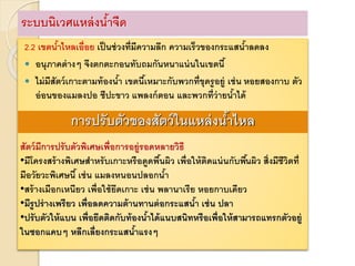 2.2 เขตน้าไหลเอื่อย เป็นช่วงที่มีความลึก ความเร็วของกระแสน้าลดลง
 อนุภาคต่างๆ จึงตกตะกอนทับถมกันหนาแน่นในเขตนี้
 ไม่มีสัตว์เกาะตามท้องน้า เขตนี้เหมาะกับพวกที่ขุดรูอยู่ เช่น หอยสองกาบ ตัว
อ่อนของแมลงปอ ชีปะขาว แพลงก์ตอน และพวกที่ว่ายน้าได้
ระบบนิเวศแหล่งน้าจืด
การปรับตัวของสัตว์ในแหล่งน้าไหล
สัตว์มีการปรับตัวพิเศษเพื่อการอยู่รอดหลายวิธี
•มีโครงสร้างพิเศษสาหรับเกาะหรือดูดพื้นผิว เพื่อให้ติดแน่นกับพื้นผิว สิ่งมีชีวิตที่
มีอวัยวะพิเศษนี้ เช่น แมลงหนอนปลอกน้า
•สร้างเมือกเหนียว เพื่อใช้ยึดเกาะ เช่น พลานาเรีย หอยกาบเดียว
•มีรูปร่างเพรียว เพื่อลดความต้านทานต่อกระแสน้า เช่น ปลา
•ปรับตัวให้แบน เพื่อยึดติดกับท้องน้าได้แนบสนิทหรือเพื่อให้สามารถแทรกตัวอยู่
ในซอกแคบๆ หลีกเลี่ยงกระแสน้าแรงๆ
 
