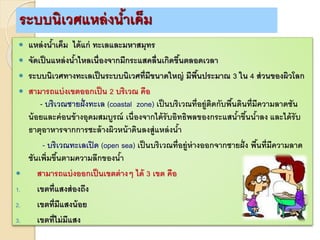 ระบบนิเวศแหล่งน้าเค็ม
 แหล่งน้าเค็ม ได้แก่ ทะเลและมหาสมุทร
 จัดเป็นแหล่งน้าไหลเนื่องจากมีกระแสคลื่นเกิดขึ้นตลอดเวลา
 ระบบนิเวศทางทะเลเป็นระบบนิเวศที่มีขนาดใหญ่ มีพื้นประมาณ 3 ใน 4 ส่วนของผิวโลก
 สามารถแบ่งเขตออกเป็น 2 บริเวณ คือ
- บริเวณชายฝั่งทะเล (coastal zone) เป็นบริเวณที่อยู่ติดกับพื้นดินที่มีความลาดชัน
น้อยและค่อนข้างอุดมสมบูรณ์ เนื่องจากได้รับอิทธิพลของกระแสน้าขึ้นน้าลง และได้รับ
ธาตุอาหารจากการชะล้างผิวหน้าดินลงสู่แหล่งน้า
- บริเวณทะเลเปิด (open sea) เป็นบริเวณที่อยู่ห่างออกจากชายฝั่ง พื้นที่มีความลาด
ชันเพิ่มขึ้นตามความลึกของน้า
 สามารถแบ่งออกเป็นเขตต่างๆ ได้ 3 เขต คือ
1. เขตที่แสงส่องถึง
2. เขตที่มีแสงน้อย
3. เขตที่ไม่มีแสง
 