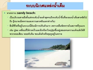  หาดทราย (sandy beach)
◦ เป็นบริเวณชายฝั่งตั้งแต่รระดับน้าลงต่าสุดจนถึงระดับน้าขึ้นที่ละอองน้าเค็มสาดซัดไป
ถึง (ขนาดเม็ดทรายและความลาดชันแตกต่างกัน)
◦ สิ่งมีชีวิตที่อยู่ในระบบนี้ต้องมีการปรับตัวมาก เพราะคลื่นซัดทรายในสภาพที่รุนแรง
◦ เช่น ปูลม เคลื่อนที่ได้รวดเร็วและมีเหงือกใหญ่ชุ่มชื้นอยู่เสมอทนความแห้งแล้งได้ดี
พวกหอยเสียบ หอยทับทิม ชอบฝังตัวหรือขุดรูอยู่ในทราย
ระบบนิเวศแหล่งน้าเค็ม
 