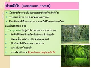 ป่าผลัดใบ (Deciduous Forest)
 เป็นสังคมที่ประกอบไปด้วยพรรณพืชที่ผลัดใบหรือทิ้งใบ
 การผลัดเปลี่ยนใบจะใช้เวลาค่อนข้างยาวนาน
 สังคมพืชกลุ่มนี้มีประมาณ 70 % ของเนื้อที่ป่าของประเทศไทย
แบ่งเป็นชนิดย่อย ๆ คือ
1. ป่าเบญจพรรณ มีอยู่ทั่วไปตามภาคต่าง ๆ ของประเทศ
 ดินเป็นได้ตั้งแต่ดินเหนียว ดินร่วน จนถึงดินลูกรัง
 ปริมาณน้าฝนไม่เกิน 1,000 มิลลิเมตร ต่อปี
 เป็นสังคมพืชที่มีความหลากหลายมาก
 จะผลัดใบมากในฤดูแล้ง
 พรรณไม้หลัก เช่น สัก มะค่ำ แดง ประดู่ และชิงชัน
 