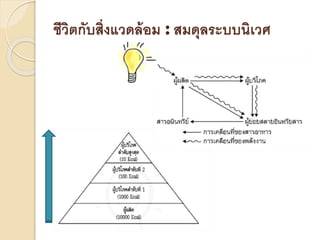 ชีวิตกับสิ่งแวดล้อม : สมดุลระบบนิเวศ
 