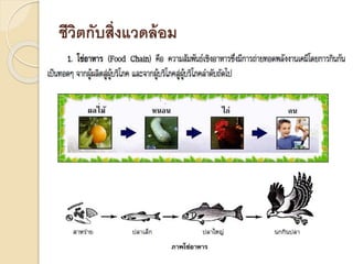 ชีวิตกับสิ่งแวดล้อม
 