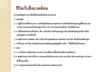 ชีวิตกับสิ่งแวดล้อม
ความสัมพันธ์ระหว่างสิ่งมีชีวิตกับปัจจัยทางกายภาพ
1. อุณหภูมิ
1.1 ปฏิกิริยาเคมีในร่างกาย: เอนไซม์เป็ นตัวควบคุมอัตราการเกิดโดยปกติอุณหภูมิที่เหมาะแก่
การทางานของเอนไซม์จะอยู่ระหว่าง 25-40 องศาเซลเซียส (ไม่เสียสภาพ)
1.2 เปลี่ยนแปลงทางสรีรวิทยา คือ กลไกในการปรับอุณหภูมิ เช่น สัตว์เลือดอุ่นจะมีการปรับ
อุณหภูมิร่างกายให้คงที่
1.3 พฤติกรรมการอพยพ เช่น นกปากห่างอพยพมาจากเขตหนาวมาไทย ซึ่งเป็ นเขตที่อบอุ่น
1.4 ปริมาณ O2 ที่ละลายในน้าจะลดลงเมื่ออุณหภูมิสูงขึ้น ทาให ้้สิ่งมีชีวิตในน้าลดลง
2. แสง
2.1 การสังเคราะห์ด้วยแสง (อาหาร) ของพืชมากขึ้นถ้าแสงมีความเข้มมาก
2.2 พฤติกรรมการดารงชีวิต การออกหากินในเวลากลางวัน/กลางคืน เช่น นกเค้าแมว ค้างคาว
ผีเสื้อกลางคืน
2.3 การหุบบานของดอกไม้ เช่น ดอกบัวจะบานในเวลาเช้า
 