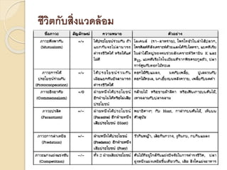 ชีวิตกับสิ่งแวดล้อม
 