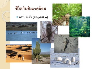 ชีวิตกับสิ่งแวดล้อม
 การปรับตัว (Adaptation)
 