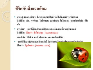 ชีวิตกับสิ่งแวดล้อม
 แร่ธาตุ และสารต่างๆ ในระบบนิเวศเป็ นสิ่งจาเป็ นในการดารงชีวิตของ
สิ่งมีชีวิต เช่น คาร์บอน ไฮโดรเจน ออกซิเจน ไนโตรเจน และฟอสฟอรัส เป็ น
ต้น
 สารต่างๆ เหล่านี้ล้วนเป็ นองค์ประกอบของโมเลกุลที่สาคัญในเซลล์
สิ่งมีชีวิต เรียกว่า ชีวโมเลกุล (biomolecules)
เช่น ลิพิด โปรตีน คาร์โบไฮเดรต และกรดนิวคลีอิก
 ธาตุที่เป็ นองค์ประกอบหลักเหล่านี้ มีการหมุนเวียนผ่านโซ่อาหารเป็ นวัฏจักร
เรียกว่า วัฏจักรสาร (material cycle)
 