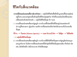ชีวิตกับสิ่งแวดล้อม
การเปลี่ยนแปลงแทนที่ทางนิเวศวิทยา = กลุ่มสิ่งมีชีวิตในที่ใดที่หนึ่งถูกแทนที่โดยกลุ่มใหม่
อยู่เรื่อยๆ และจะหยุดลงเมื่อมีกลุ่มสิ่งมีชีวิตกลุ่มสุดท้าย ทาให้สิ่งแวดล้อมไม่เปลี่ยนแปลง
เปลี่ยนแปลงอีกต่อไป/คงตัว = กลุ่มสิ่งมีชีวิตขั้นสุด มี 2 แบบ
1. การเปลี่ยนแปลงแทนที่แบบปฐมภูมิ จากบริเวณที่ไม่เคยมีสิ่งมีชีวิตอยู่ก่อนเลยต่อมามี
ปรากฏขึ้นพวกแรก (ผู้บุกเบิก) และมีการเปลี่ยนแปลงเป็นลาดับขั้นจนกระทั่งถึงระยะขั้น
ขั้นสุด
ที่ว่าง → ไลเคน (Pioneer Species) → มอส ลิเวอร์เวิร์ต → ไม้พุ่ม → ไม้ยืนต้น
→ กลุ่มสิ่งมีชีวิตขั้นสุด
2. การเปลี่ยนแปลงแทนที่แบบทุติยภูมิ จากบริเวณที่มีสิ่งมีชีวิตขั้นสุดจากปฐมภูมิแล้วและถูก
และถูกทาลาย จึงเกิดการเปลี่ยนแปลงแทนที่ได้กลุ่มสิ่งมีชีวิตขั้นสุดแบบเดิม หรือใหม่ เช่น
เช่น เกิดไฟไหม้ป่า เกิดโรคระบาด ทาให้เสียสมดุล
 