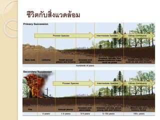 ชีวิตกับสิ่งแวดล้อม
 