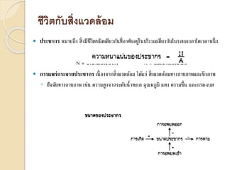 ชีวิตกับสิ่งแวดล้อม
 ประชากร หมายถึง สิ่งมีชีวิตชนิดเดียวกันที่อาศัยอยู่ในบริเวณเดียวกันในระยะเวลาใดเวลาหนึ่ง
N = จานวนประชากร A = พื้นที่หรือปริมาตร
 การแพร่กระจายประชากร เนื่องจากสิ่งแวดล้อม ได้แก่ สิ่งแวดล้อมทางกายภาพและชีวภาพ
◦ ปัจจัยทางกายภาพ เช่น ความสูงจากระดับน้าทะเล อุณหภูมิ แสง ความชื้น และกรด-เบส
 