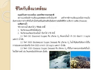 ชีวิตกับสิ่งแวดล้อม
 