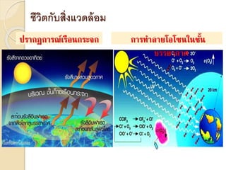 การทาลายโอโซนในชั้น
บรรยากาศ
ปรากฏการณ์เรือนกระจก
ชีวิตกับสิ่งแวดล้อม
 