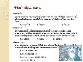 ชีวิตกับสิ่งแวดล้อม
ทรัพยากรน้า
 เป็ นทรัพยากรที่มีความสาคัญต่อสิ่งมีชีวิตทุกชนิด สิ่งมีชีวิตใช้ประโยชน์จากทรัพยากรน้า
เพื่อดารงชีวิตด้านต่างๆ เช่น เป็ นที่อยู่อาศัยและแพร่พันธุ์แบ่งออกเป็ น 3 แหล่งใหญ่
ได้แก่
1. หยาดน้าฟ้ า 2. น้าผิวดิน 3. น้าใต้ดิน
ทรัพยากรดิน
 ดินป็ นทรัพยากรที่เกิดขึ้นตามธรรมชาติประเภทที่ใช้แล้วเกิดทดแทนได้ และเป็ น
ทรัพยากรพื้นฐานที่มีความสัมพันธ์กับทรัพยากรธรรมชาติอื่นๆ อีก เช่น ทรัพยากรป่ าไม้
ทรัพยากรแร่ธาตุ ทรัพยากรสัตว์ป่ า เป็ นต้น จาแนกตามลักษณะเนื้อดินได้ 3 ชนิด คือ
1. ดินเหนียว 2. ดินร่วน 3. ดินทราย
ทรัพยากรอากาศ
 อากาศจัดเป็ นทรัพยากรธรรมชาติที่ไม่มีวันหมดสิ้นและเป็ นทรัพยากรที่มีความจาเป็ นต่อ
การดารงชีวิตของสิ่งมีชีวิตทุกชนิด องค์ประกอบของอากาศ ได้แก่
1. แก๊สไนโตรเจน 78%
2. แก๊สออกซิเจน 21%
3. แก๊สคาร์บอนไดออกไซด์ 0.03%
4. แก๊สอื่นๆ 0.07%
 