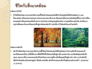 ชีวิตกับสิ่งแวดล้อม
ทรัพยากรป่ าไม้
 ป่ าไม้เป็ นทรัพยากรธรรมชาติประเภทที่ใช้แล้วเกิดทดแทนได้มีประโยชน์ต่อสิ่งมีชีวิตชนิดต่างๆ และ
สิ่งแวดล้อม เป็ นแหล่งรวมของความหลากหลายทางชีวภาพ เป็ นแหล่งเอื้ออานวยต่อปัจจัยสี่ในการดารงชีวิต
ของมนุษย์ เป็ นแหล่งของต้นน้าลาธาร ช่วยรักษาระดับอุณหภูมิของโลก ควบคุมปริมาณน้าฝน ช่วยในการ
อนุรักษ์ดินและน้าและเป็ นแหล่งที่อยู่อาศัยของสัตว์ป่ า แบ่งเป็ น ป่ ำไม่ผลัดใบและป่ ำผลัดใบ
ทรัพยากรสัตว์ป่ า
 สัตว์ป่ าเป็ นทรัพยากรธรรมชาติประเภทที่ใช้แล้วเกิดทดแทนได้ปัจจุบันพบว่าจานวนสัตว์ป่ าลดลงและมี
แนวโน้มลดลงเรื่อยๆทั้งนี้เนื่องจากพื้นที่ป่ ไม้ซึ่งเป็ นแหล่งที่อยู่อาศัย แหล่งหากิน และสืบพันธุ์ของสัตว์ป่ า
ลดลง นอกจากนี้การลดลงของสัตว์ป่ ายังเกิดจากสาเหตุอื่นๆอีกที่มนุษย์เป็ นผู้กระทา เช่น การล่าสัตว์ป่ า
เพื่อประโยชน์ทางด้านเศรษฐกิจ เป็ นต้น แบ่งเป็ น สัตว์ป่ ำสงวนและสัตว์ป่ ำคุ้มครองประเภทที่ 1 (สวยงำม)
,2 (อำหำร)
 