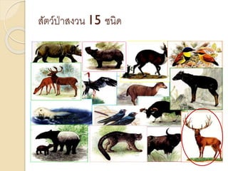 สัตว์ป่าสงวน 15 ชนิด
 