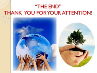 “THE END”
THANK YOU FORYOUR ATTENTION!
 