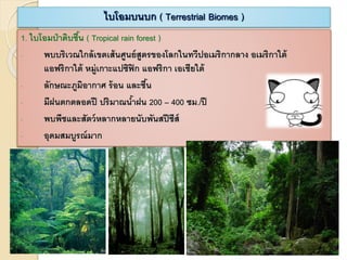 ไบโอมบนบก ( Terrestrial Biomes )
1. ไบโอมป่าดิบชื้น ( Tropical rain forest )
- พบบริเวณใกล้เขตเส้นศูนย์สูตรของโลกในทวีปอเมริกากลาง อเมริกาใต้
แอฟริกาใต้ หมู่เกาะแปซิฟิก แอฟริกา เอเชียใต้
- ลักษณะภูมิอากาศ ร้อน และชื้น
- มีฝนตกตลอดปี ปริมาณน้าฝน 200 – 400 ซม./ปี
- พบพืชและสัตว์หลากหลายนับพันสปีชีส์
- อุดมสมบูรณ์มาก
 