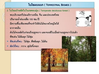 2. ไบโอมป่าผลัดใบในเขตอบอุ่น ( Temperate deciduous forest )
- พบบริเวณทวีปอเมริกาเหนือ, จีน และประเทศไทย
- ปริมาณน้าฝนเฉลี่ย 100 ซม./ปี
- มีความชื้นเพียงพอที่จะทาให้ต้นไม้ขนาดใหญ่โตได้
- อากาศเย็น
- ต้นไม้จะผลัดใบก่อนถึงฤดูหนาว และจะผลิใบเมื่อผ่านฤดูหนาวไปแล้ว
- พืชเด่น ไม้ล้มลุก ไม้พุ่ม
 พืชเด่นที่พบ : ไม้พุ่ม ,พืชล้มลุก ,ไม้ต้น
 สัตว์ที่พบ : กวาง ,สุนัขจิ้งจอก
ไบโอมบนบก ( TERRESTRIAL BIOMES )
 