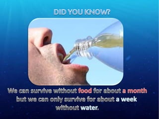 Water