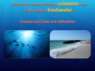 Water