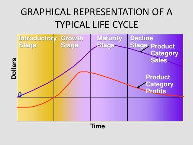 What is typically included in a life cycle diagram?