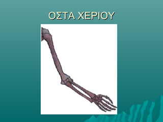 ΟΣΤΑ ΧΕΡΙΟΥΟΣΤΑ ΧΕΡΙΟΥ
 