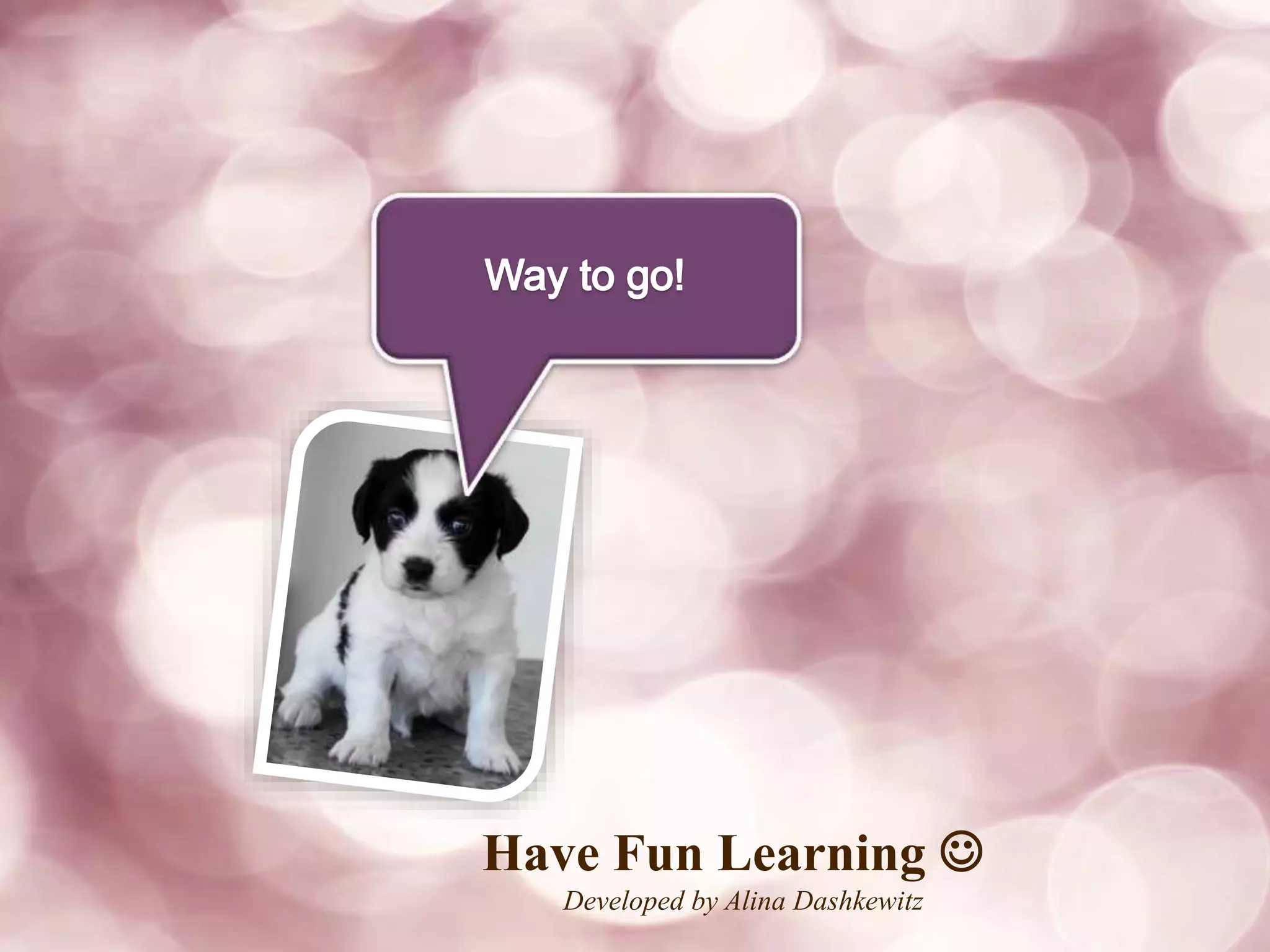 Have Fun Learning
Developed by Alina Dashkewitz