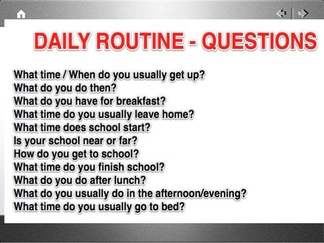 what is the daily routine