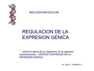 REGULACION DE LA
EXPRESION GENICA
BIOLOGIA MOLECULAR
“…todos los genes de un organismo no se expresan
constantemente…EXISTEN CONTROLES EN LA
EXPRESION GENICA”
Dr. Juan C. Tantaleán V.
 