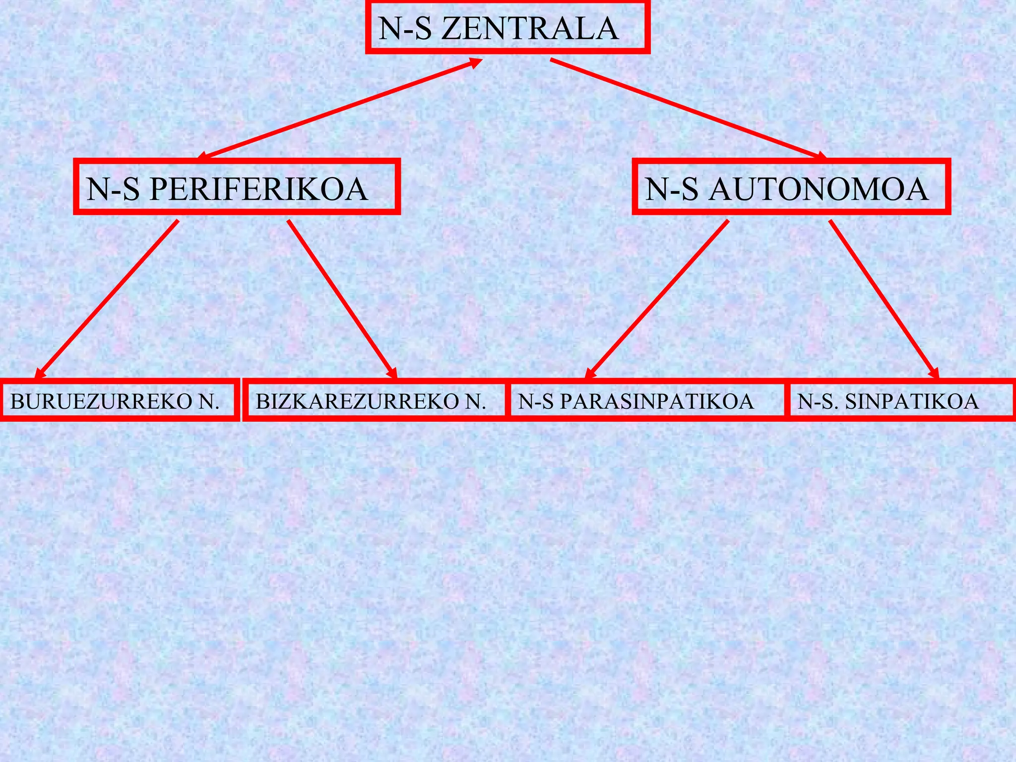 N-S ZENTRALA
N-S PERIFERIKOA N-S AUTONOMOA
BURUEZURREKO N. BIZKAREZURREKO N. N-S PARASINPATIKOA N-S. SINPATIKOA
 