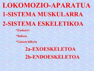 LOKOMOZIO-APARATUA
1-SISTEMA MUSKULARRA
2-SISTEMA ESKELETIKOA
*Euskarri
*Babesa
*Gatzen bilketa
2a-EXOESKELETOA
2b-ENDOESKELETOA
 