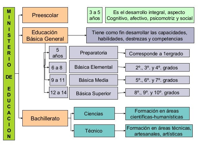 1. estructura del sistema educativo