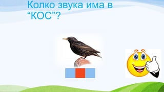 Колко звука има в
“КОС”?
 