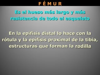 Es el hueso más largo y másEs el hueso más largo y más
resistencia de todo el esqueletoresistencia de todo el esqueleto
En la epífisis distal lo hace con laEn la epífisis distal lo hace con la
rótula y la epífisis proximal de la tibia,rótula y la epífisis proximal de la tibia,
estructuras que forman laestructuras que forman la rodillarodilla
F É M U RF É M U R
 
