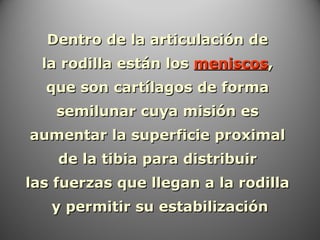 Dentro de la articulación deDentro de la articulación de
la rodilla están losla rodilla están los meniscosmeniscos,,
que son cartílagos de formaque son cartílagos de forma
semilunar cuya misión essemilunar cuya misión es
aumentar la superficie proximalaumentar la superficie proximal
de la tibia para distribuirde la tibia para distribuir
las fuerzas que llegan a la rodillalas fuerzas que llegan a la rodilla
y permitir su estabilizacióny permitir su estabilización
 