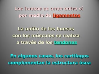 Los huesos se unen entre síLos huesos se unen entre sí
por medio depor medio de ligamentosligamentos
La unión de los huesosLa unión de los huesos
con los músculos se realizacon los músculos se realiza
a través de losa través de los tendonestendones
En algunos casos, los cartílagosEn algunos casos, los cartílagos
complementan la estructura óseacomplementan la estructura ósea
 