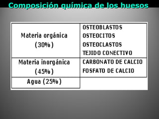 Composición química de los huesosComposición química de los huesos
 