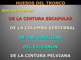 Son los huesos:Son los huesos:
DE LA CINTURA ESCAPULARDE LA CINTURA ESCAPULAR
DEL ESTERNÓNDEL ESTERNÓN
DE LA CINTURA PELVIANADE LA CINTURA PELVIANA
HUESOS DEL TRONCOHUESOS DEL TRONCO
DE LAS COSTILLASDE LAS COSTILLAS
DE LA COLUMNA VERTEBRALDE LA COLUMNA VERTEBRAL
 