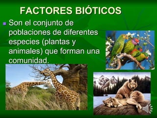 FACTORES BIÓTICOS
 Son el conjunto de
poblaciones de diferentes
especies (plantas y
animales) que forman una
comunidad.
 