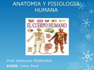 ANATOMIA Y FISIOLOGIA
HUMANA
Prof. Kateryna FESECHKO
EIGER, Lima, Perú
 