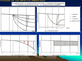 1.  identificacion de impactos