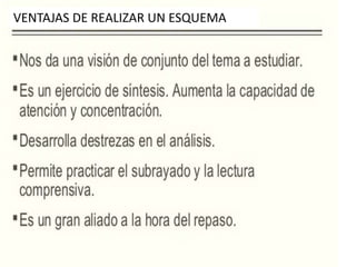 VENTAJAS DE REALIZAR UN ESQUEMA
