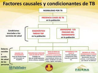 PRESENCIA DE OTRAS
ENFERMEDADES DE RIESGO
VIH/Sida, Diabetes, Cáncer,
Desnutrición, otras enf.
crónicas, o con tratamiento
que reducen las defensas
PERSONAS QUE CONVIVEN
CON UN CASO DE TBP FP
Ciudades con
Más de 10,000 habitantes
(Zonas urbanas, ciudades)
AREAS DE RIESGO DE
TRANSMISION DE TB
(Contactos ocupacionales)
Permanece más de 6 horas
acumulado por semana con
Pobre ventilación y luz solar
(viajes, vigilias, internados).
ABANDONO Y/O
FRACASO DEL
TRATAMIENTO
en la población
DIAGNÓSTICO
TARDIO TBP
en la población
PRESENCIA CASOS DE TB
en la población
MORBILIDAD POR TB
HOGARES CON
HACINAMIENTO
Zonas de Elevado Riesgo
De Transmisión de
TB (AERTs)
HACINAMIENTO CON
CASOS TB
Cuarteles albergues
Campamentos asilos
Casas de recuperación.
etc.
Determ.
sociales
y
condic.
de salud
de las
personas
Condiciones
asociadas a los
servicios de salud
Factores causales y condicionantes de TB
 