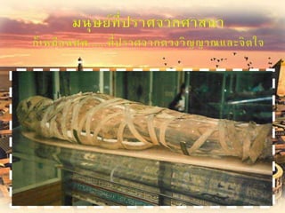 การนับถือศาสนาต่างๆ ทั่วโลก
 