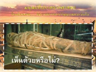 ศาสนาที่ตายแล้ว www.themegallery.com
เห็นด้วยหรือไม่?
 