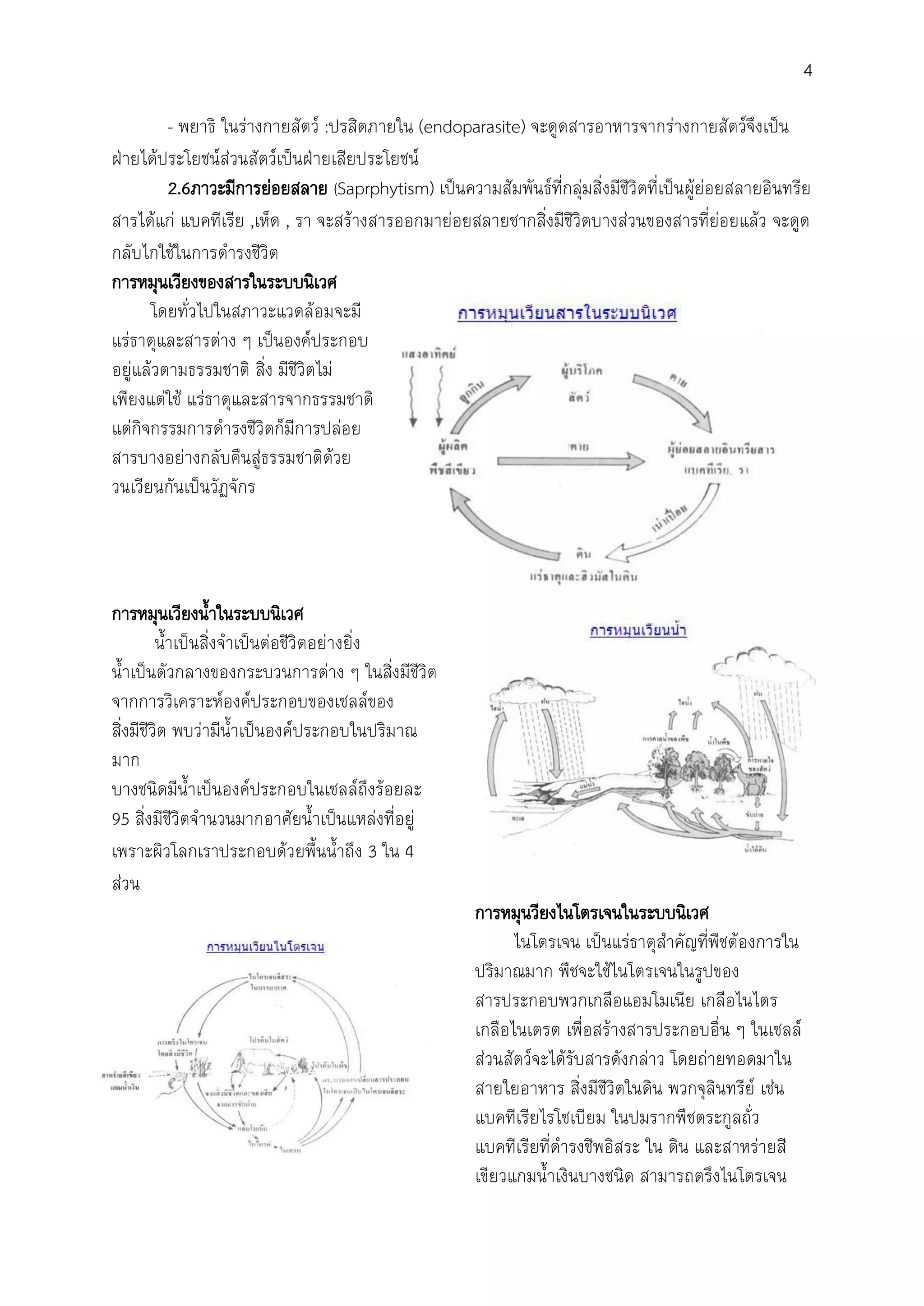 4
- พยาธิ ในร่างกายสัตว์ :ปรสิตภายใน (endoparasite) จะดูดสารอาหารจากร่างกายสัตว์จึงเป็น
ฝ่ายได้ประโยชน์ส่วนสัตว์เป็นฝ่ายเสียประโยชน์
2.6ภาวะมีการย่อยสลาย (Saprphytism) เป็นความสัมพันธ์ที่กลุ่มสิ่งมีชีวิตที่เป็นผู้ย่อยสลายอินทรีย
สารได้แก่ แบคทีเรีย ,เห็ด , รา จะสร้างสารออกมาย่อยสลายซากสิ่งมีชีวิตบางส่วนของสารที่ย่อยแล้ว จะดูด
กลับไกใช้ในการด้ารงชีวิต
การหมุนเวียงของสารในระบบนิเวศ
โดยทั่วไปในสภาวะแวดล้อมจะมี
แร่ธาตุและสารต่าง ๆ เป็นองค์ประกอบ
อยู่แล้วตามธรรมชาติ สิ่ง มีชีวิตไม่
เพียงแต่ใช้ แร่ธาตุและสารจากธรรมชาติ
แต่กิจกรรมการด้ารงชีวิตก็มีการปล่อย
สารบางอย่างกลับคืนสู่ธรรมชาติด้วย
วนเวียนกันเป็นวัฏจักร
การหมุนเวียงน้้าในระบบนิเวศ
น้้าเป็นสิ่งจ้าเป็นต่อชีวิตอย่างยิ่ง
น้้าเป็นตัวกลางของกระบวนการต่าง ๆ ในสิ่งมีชีวิต
จากการวิเคราะห์องค์ประกอบของเซลล์ของ
สิ่งมีชีวิต พบว่ามีน้้าเป็นองค์ประกอบในปริมาณ
มาก
บางชนิดมีน้้าเป็นองค์ประกอบในเซลล์ถึงร้อยละ
95 สิ่งมีชีวิตจ้านวนมากอาศัยน้้าเป็นแหล่งที่อยู่
เพราะผิวโลกเราประกอบด้วยพื้นน้้าถึง 3 ใน 4
ส่วน
การหมุนวียงไนโตรเจนในระบบนิเวศ
ไนโตรเจน เป็นแร่ธาตุส้าคัญที่พืชต้องการใน
ปริมาณมาก พืชจะใช้ไนโตรเจนในรูปของ
สารประกอบพวกเกลือแอมโมเนีย เกลือไนไตร
เกลือไนเตรต เพื่อสร้างสารประกอบอื่น ๆ ในเซลล์
ส่วนสัตว์จะได้รับสารดังกล่าว โดยถ่ายทอดมาใน
สายใยอาหาร สิ่งมีชีวิตในดิน พวกจุลินทรีย์ เช่น
แบคทีเรียไรโซเบียม ในปมรากพืชตระกูลถั่ว
แบคทีเรียที่ด้ารงชีพอิสระ ใน ดิน และสาหร่ายสี
เขียวแกมน้้าเงินบางชนิด สามารถตรึงไนโตรเจน
 
